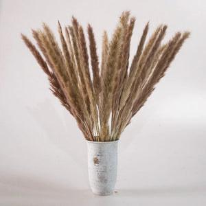 Brown Artificial Plant Natural Dried Pampas Grass