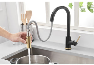 Stainless Steel Black and Gold Kitchen Faucet Touch Sensor and Pull Out - Hansel & Gretel Home Decor