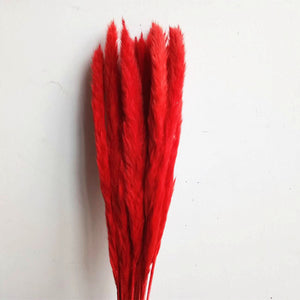 Red Artificial Plant Natural Dried Pampas Grass - Hansel & Gretel Home Decor