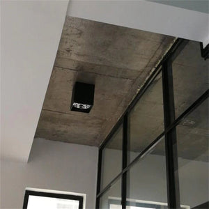 Modern Black Double Cube Ceiling Light