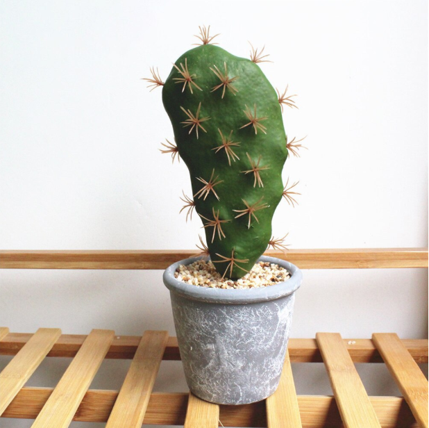 Green Artificial Succulent Cactus Plant - Hansel & Gretel Home Decor