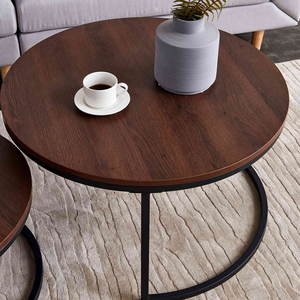 Modern Round 2-Piece Nesting Coffee Table