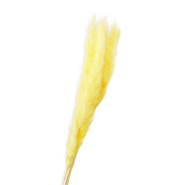 Yellow Artificial Plant Natural Dried Pampas Grass - Hansel & Gretel Home Decor