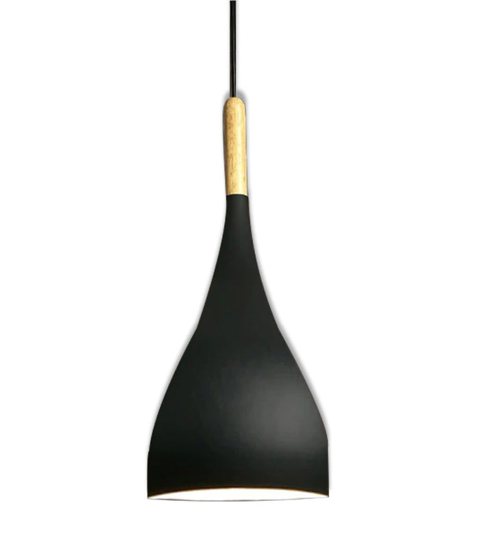Modern Black Hanging Lamp