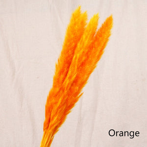 Orange Artificial Plant Natural Dried Pampas Grass - Hansel & Gretel Home Decor