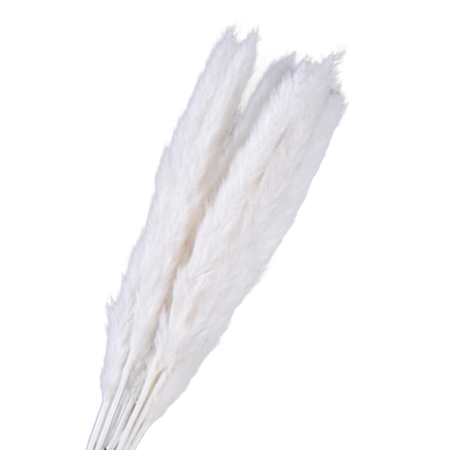 White Artificial Plant Natural Dried Pampas Grass